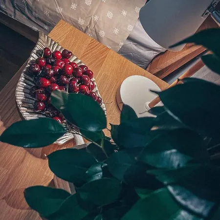 Apartment Tamula Loftid Võru