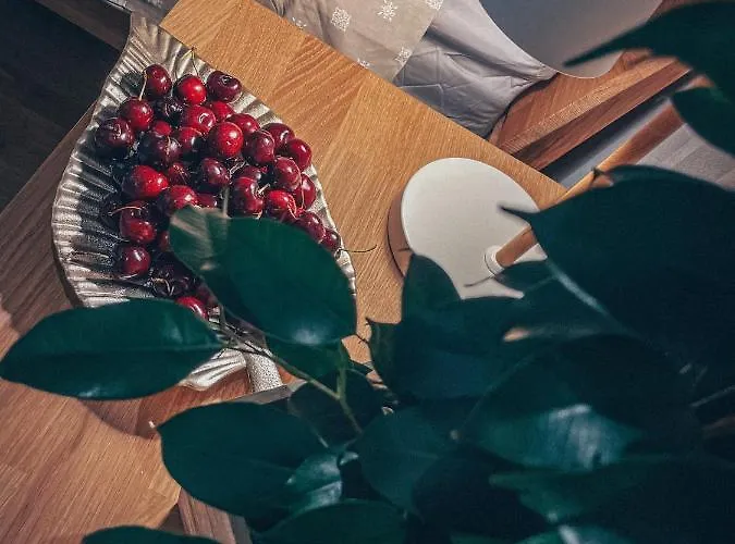 Apartament Tamula Loftid Võru